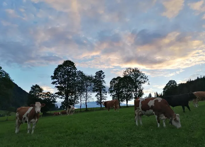 Embacher Marianne - Rotharlhof *