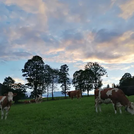 Embacher Marianne - Rotharlhof *